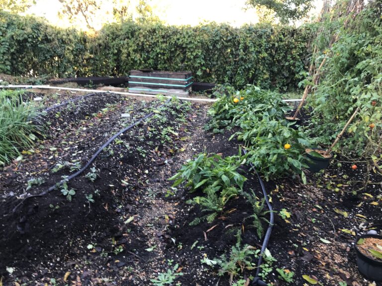 Garden Tending Day: Saturday, May 17th from 8:30am – 11:30am